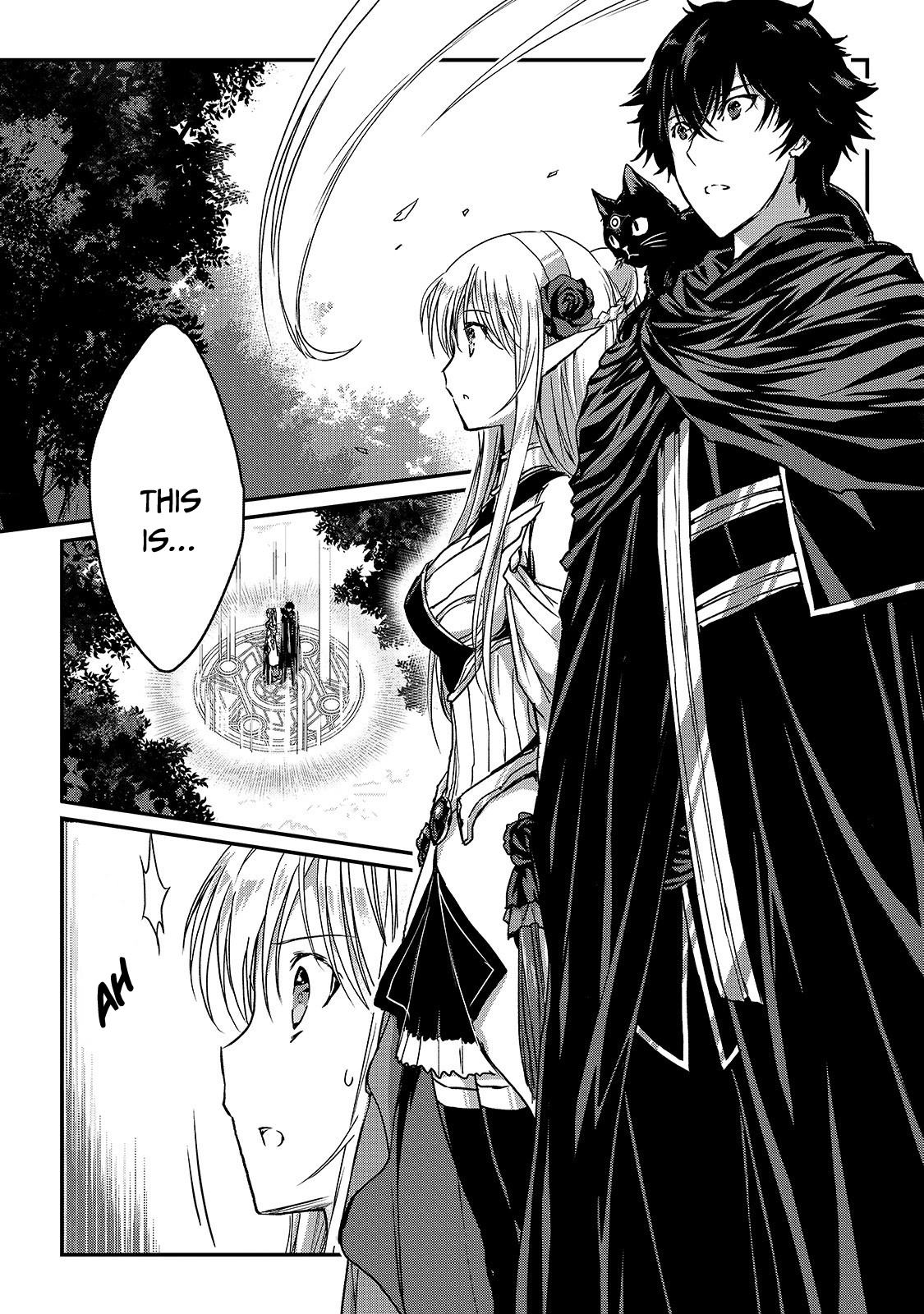 Assassin de Aru Ore no Sutetasu ga Yuusha Yori mo Akiraka ni Tsuyoi Nodaga Chapter 13 8